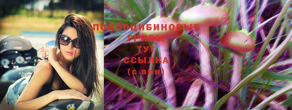 трава Волоколамск